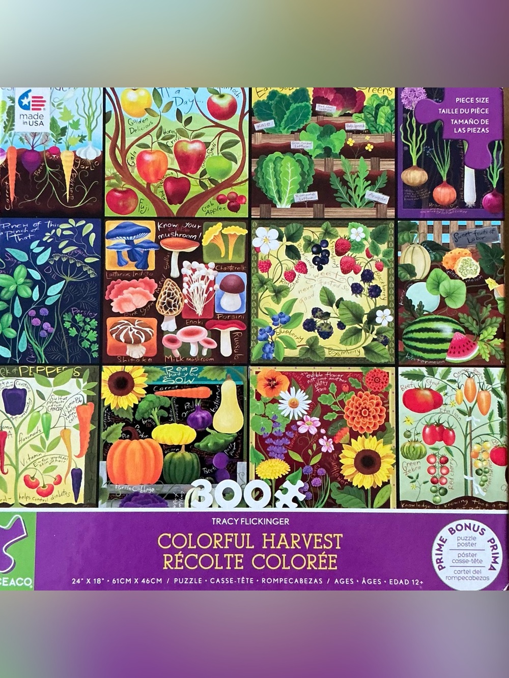 Ceaco “Colorful Harvest” 300 piece puzzle by Tracy Flickinger